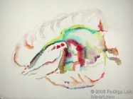 23 Shell Apr 2005 WC on paper 15X11”