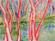35 Red trees Aug 2004 WC on paper 15X11”