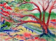 43 Red oak Sep 2004 WC on paper 15X11”