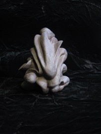 yoga May 2009 view D.jpg