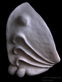 Evolution Mar 2009 view C.jpg