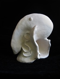 Shell Aug 2008 view A.jpg