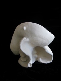Shell Aug 2008 view C.jpg