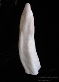 figure Mar 2008 view C.jpg