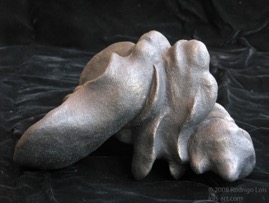 form Dec 2007 view C.jpg