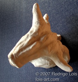 bull Jan 2007 view A.jpg