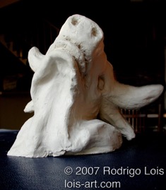 bull Jan 2007 view B.jpg