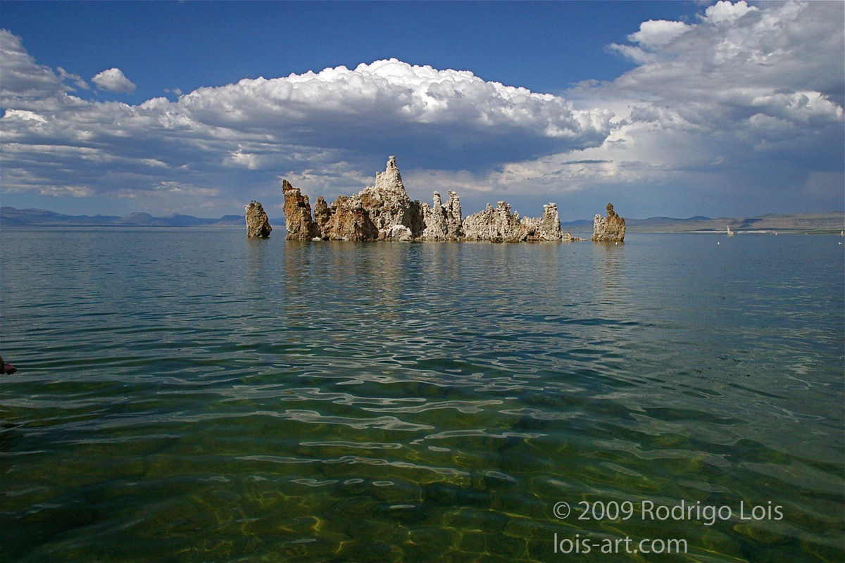 Stacks Image 2155