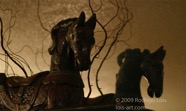 AO photo003