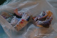 AO photo010