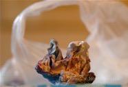AO photo011