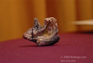 AO photo012