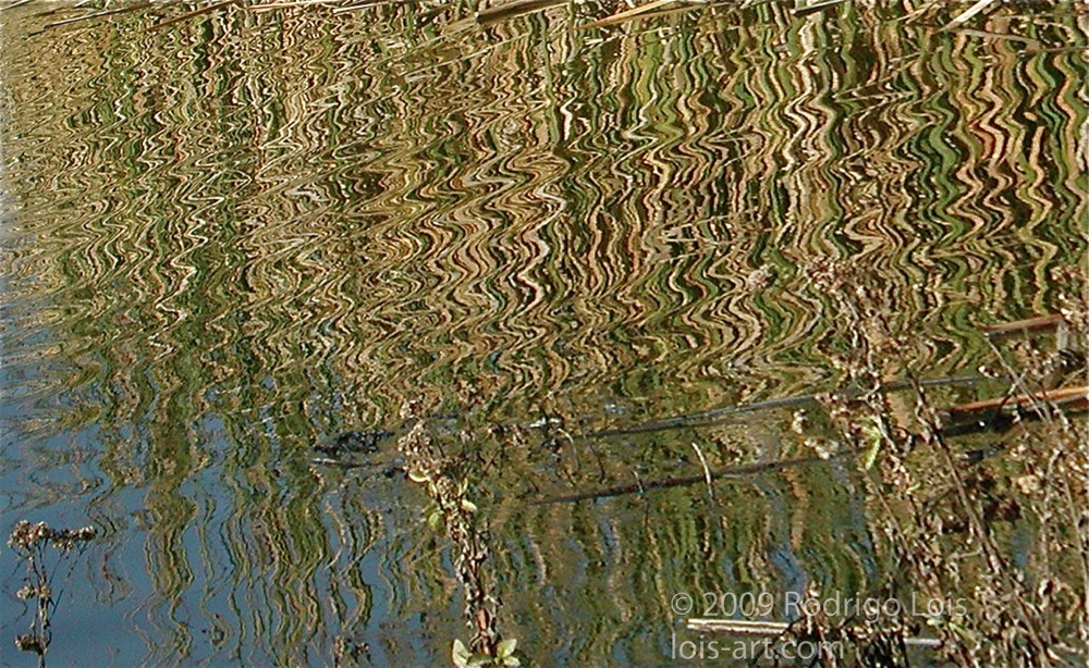Loading Image