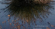 AO photo026
