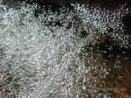 AO photo027