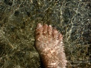 AO photo029