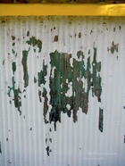 AO photo044