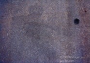 AO photo266