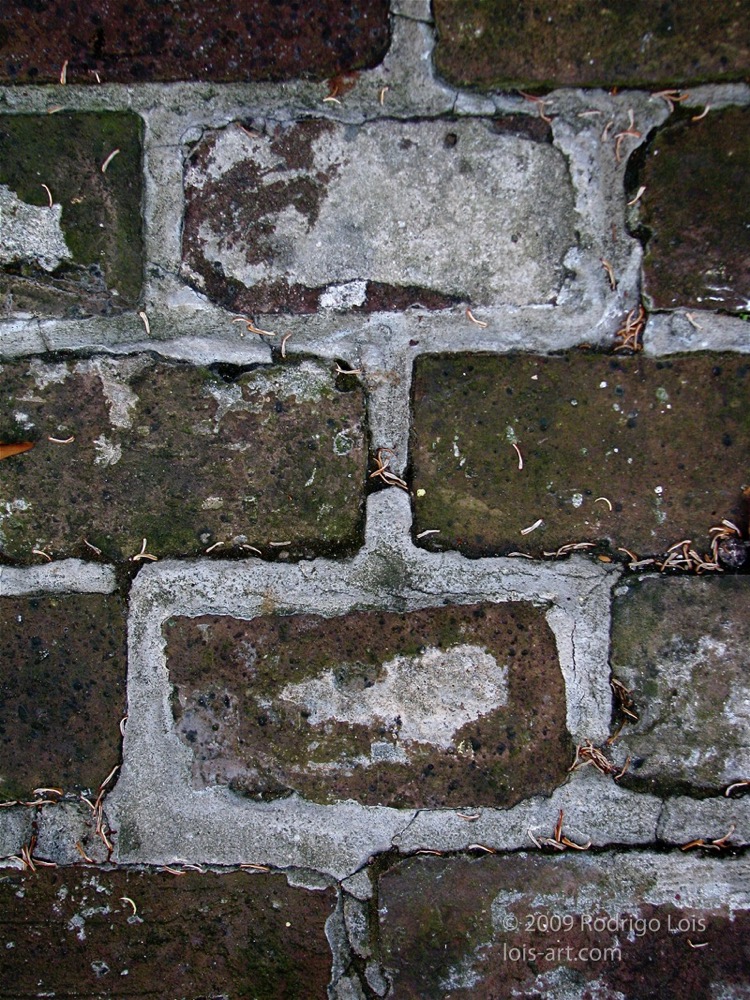 Loading Image
