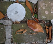 AO photo295