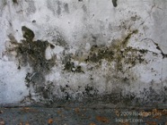 AO photo340