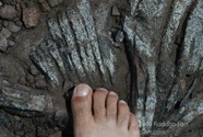 AO photo360