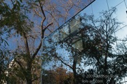 CP photo001