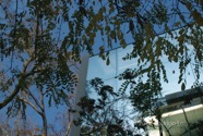 CP photo002