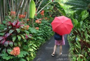 CP photo010