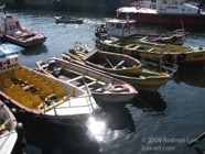 CP photo053