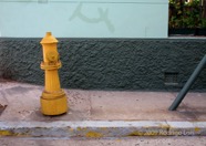 CP photo069