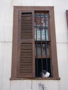 CP photo075