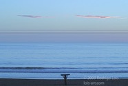 LSW photo002