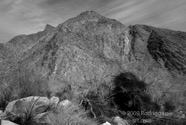 LSW photo004