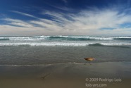 LSW photo005