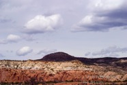 LSW photo007
