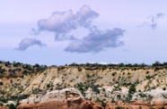 LSW photo008