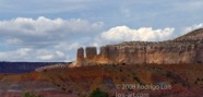 LSW photo010
