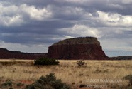 LSW photo011