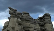 LSW photo012