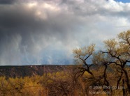LSW photo014