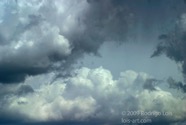 LSW photo015