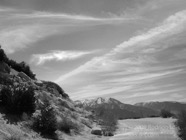 LSW photo017