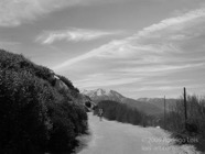 LSW photo018