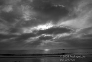 LSW photo019