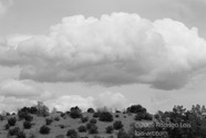 LSW photo020