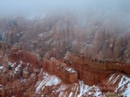 LSW photo021