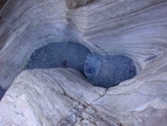 LSW photo024
