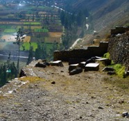 LSW photo027