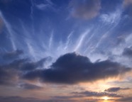 LSW photo028